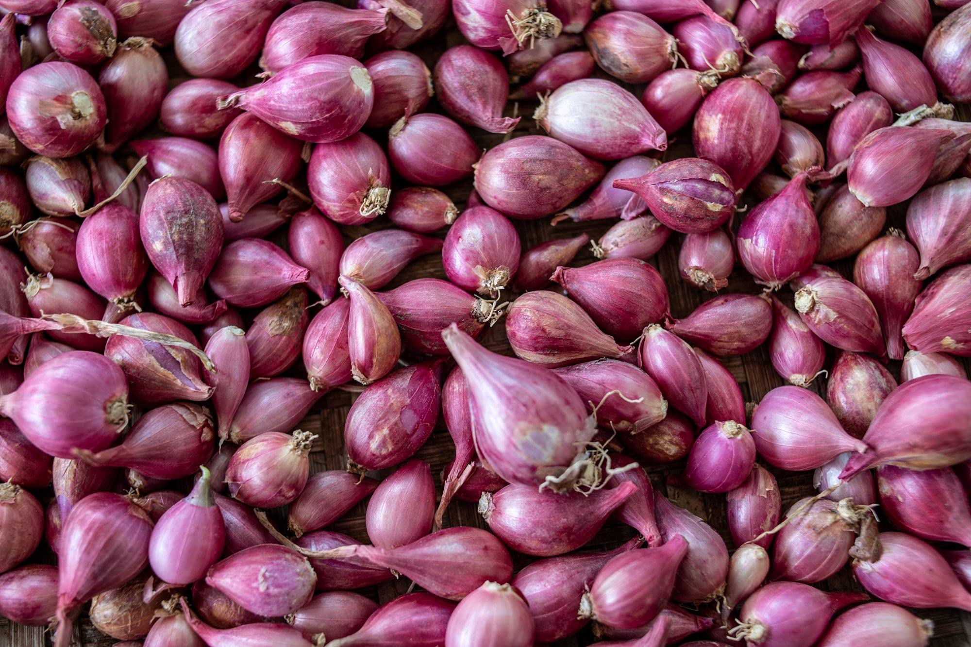 Golden Hills Farm Hybrid small shallot onion 300+ seeds (B096WDJ9C5) Amazon Price History, Amazon Price Tracker