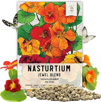 Seed Needs Nasturtium Seeds Jewel Mix Multicolored Edible Flowers