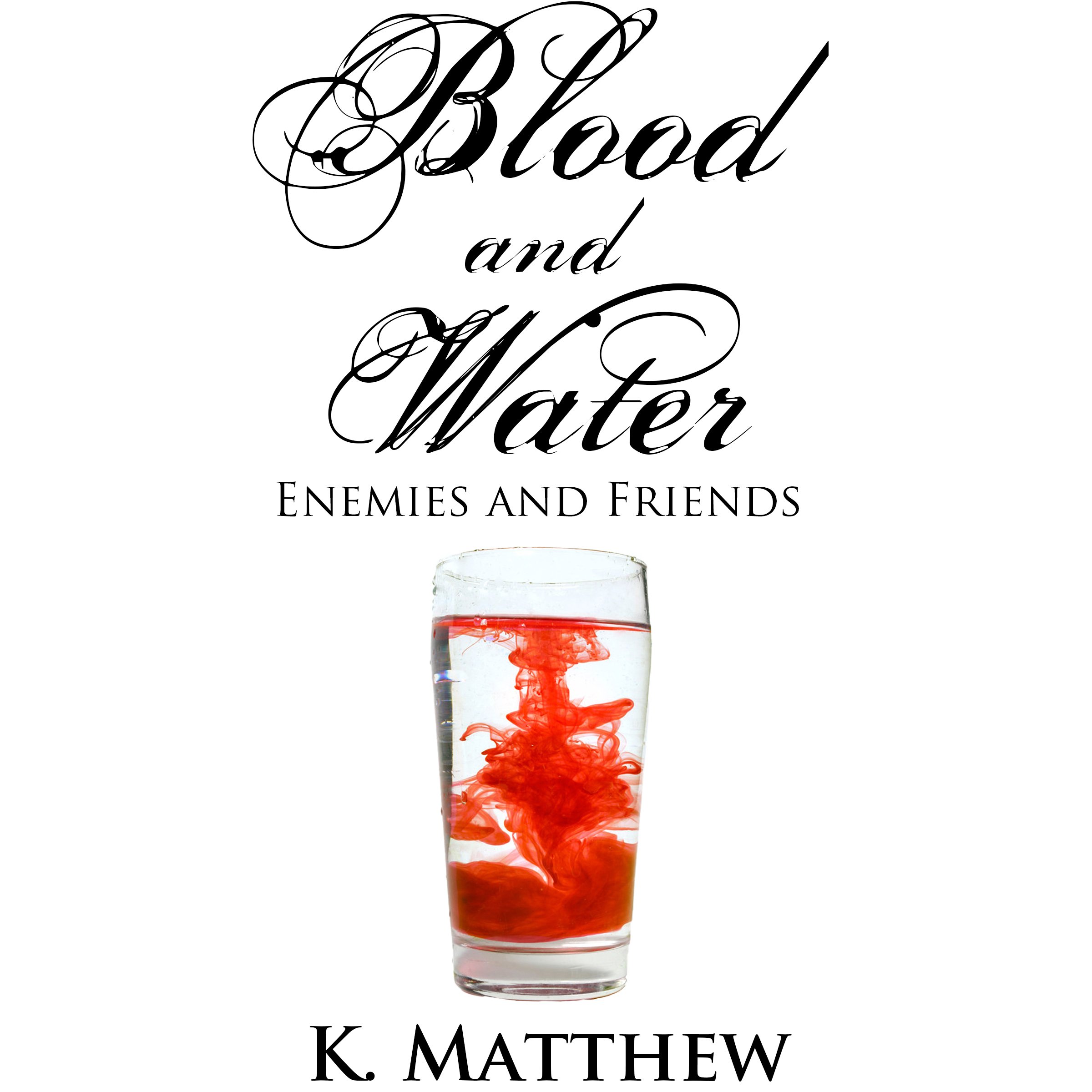 Cover art for Enemies and Friends (Blood and Water Book 2)