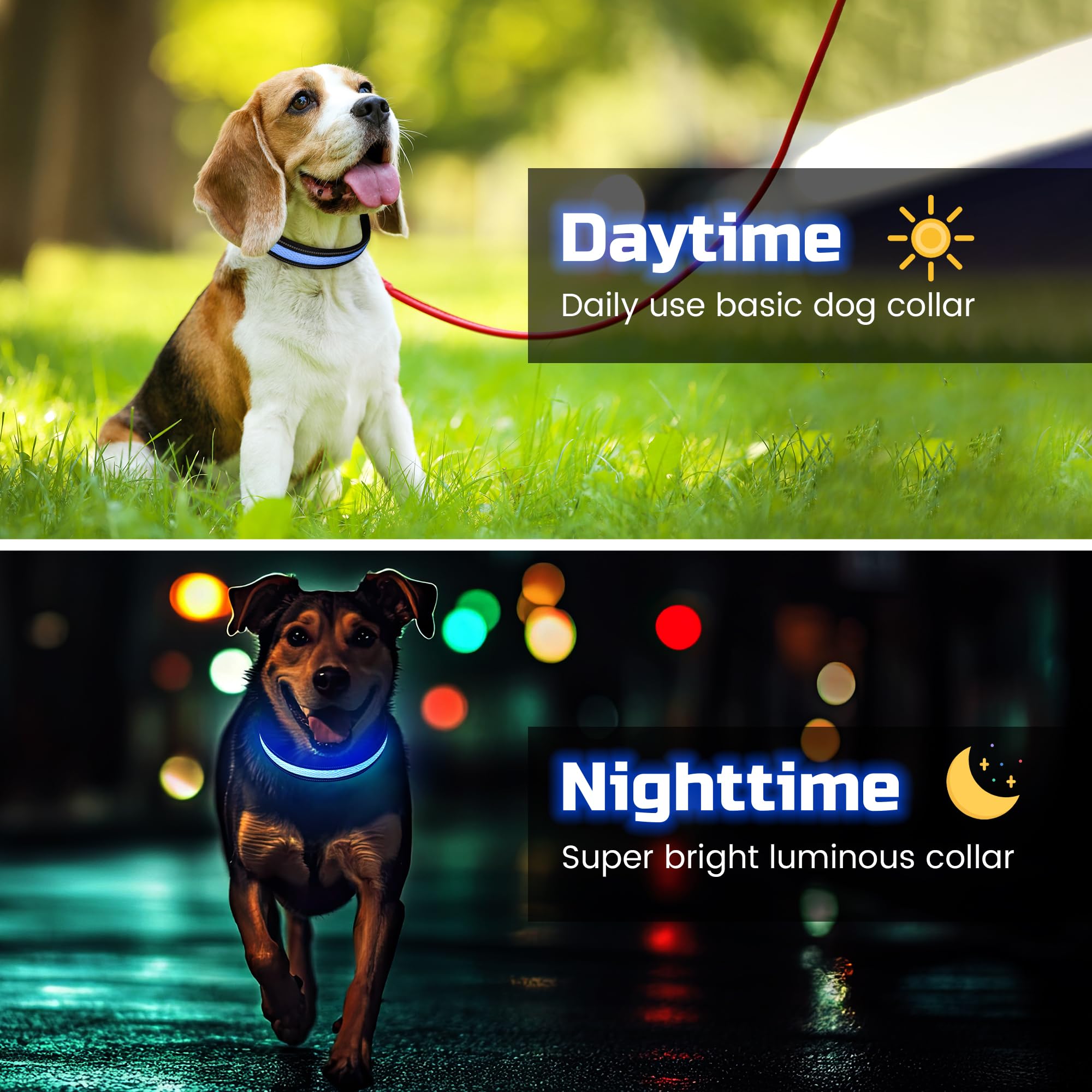 Light Up Dog Collar Rechargeable - Image 2