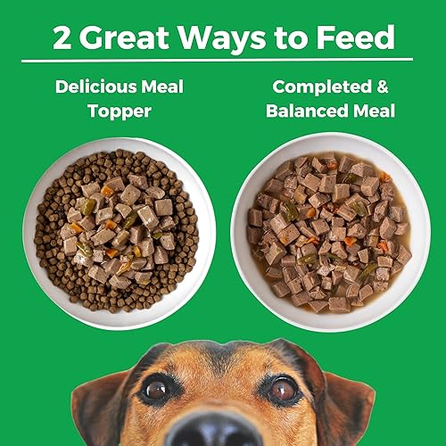 Miniatura 5 de KOHA Pike Place Plato de estofado para perros con carne de res y salmón, comida húmeda para perros con alto contenido de proteínas, latas de 12.7