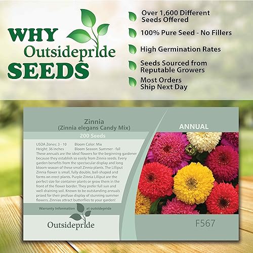Miniatura 3 de Outsidepride - Zinnia Elegans, 200 semillas anuales, Candy Flower Seed Mix, mezcla de semillas de flores para plantar