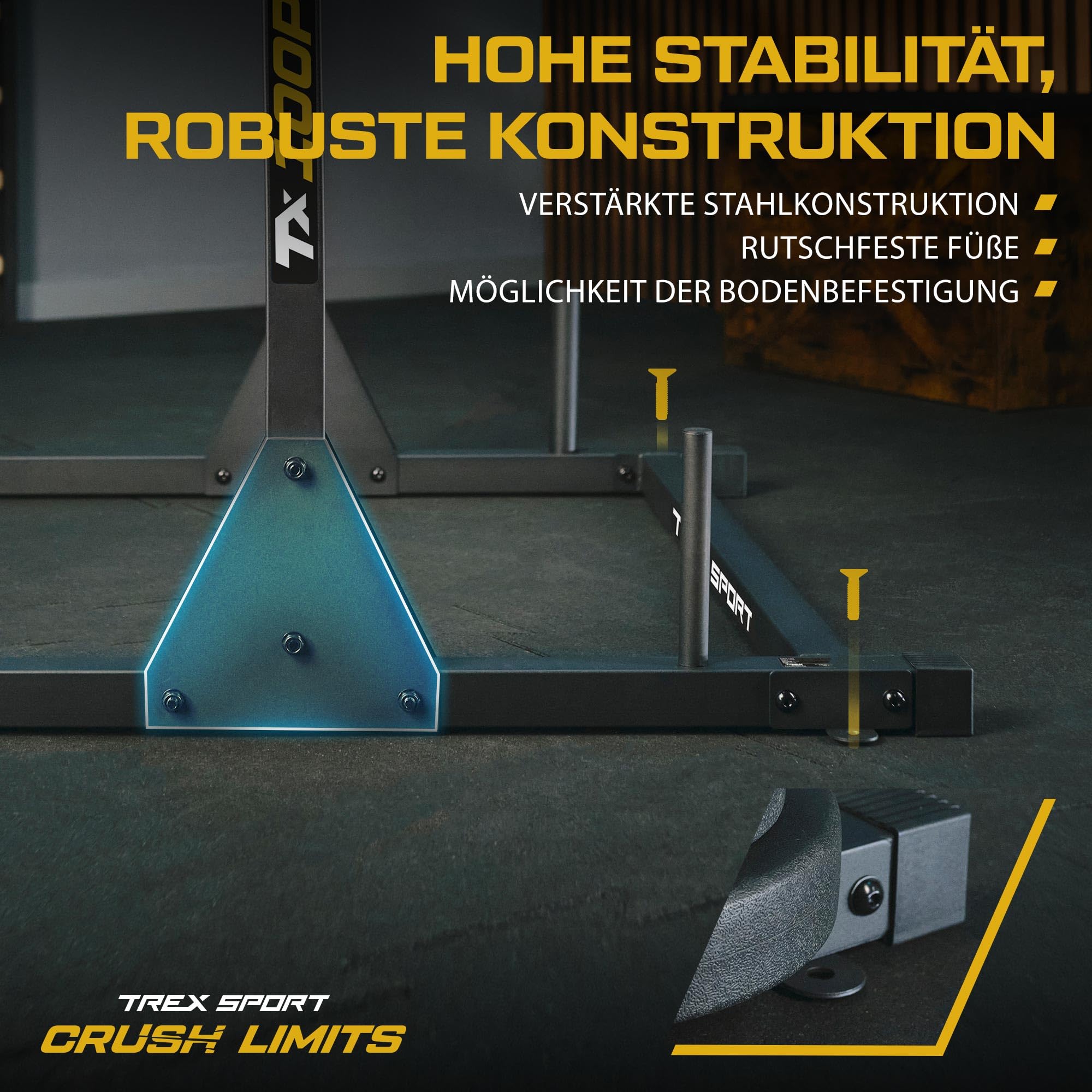 TREX SPORT Power Tower Dip Station freistehend Kraftturm bis 300kg TX-100PR | Multifunktionale Klimmzugstange aus Stahl, mit Langhantelablagen, Schwarz