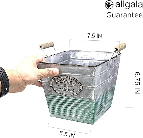 Miniatura 5 de allgala Maceta galvanizada para decoración interior y exterior-Cuadrado-6 "-HD88306