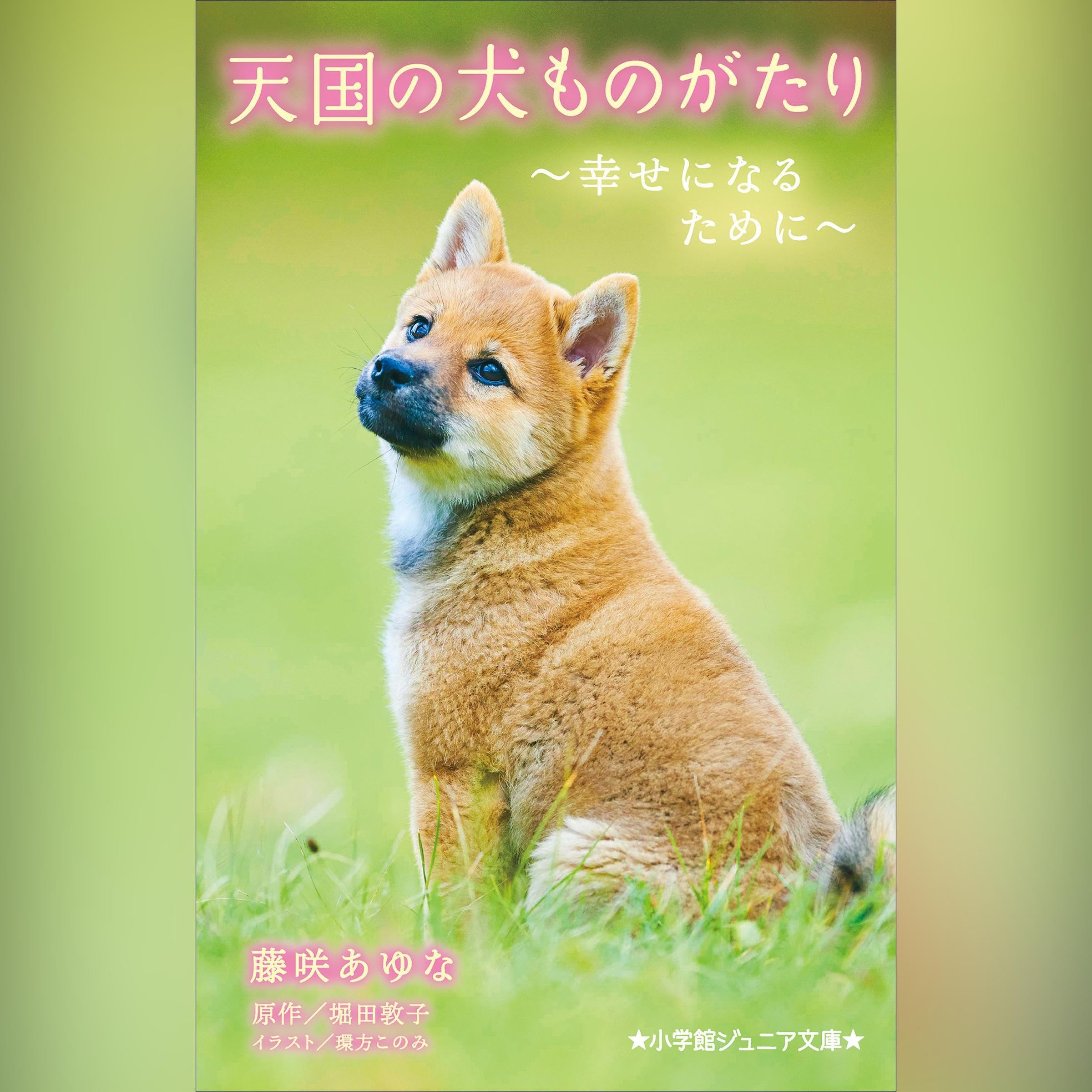 Amazon.com.br: 堀田敦子: livros, biografia, última atualização