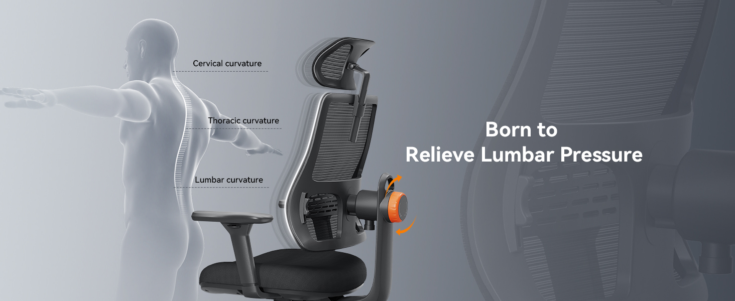 Amazon.com: Newtral Ergonomic Home Office Chair, High Back Desk