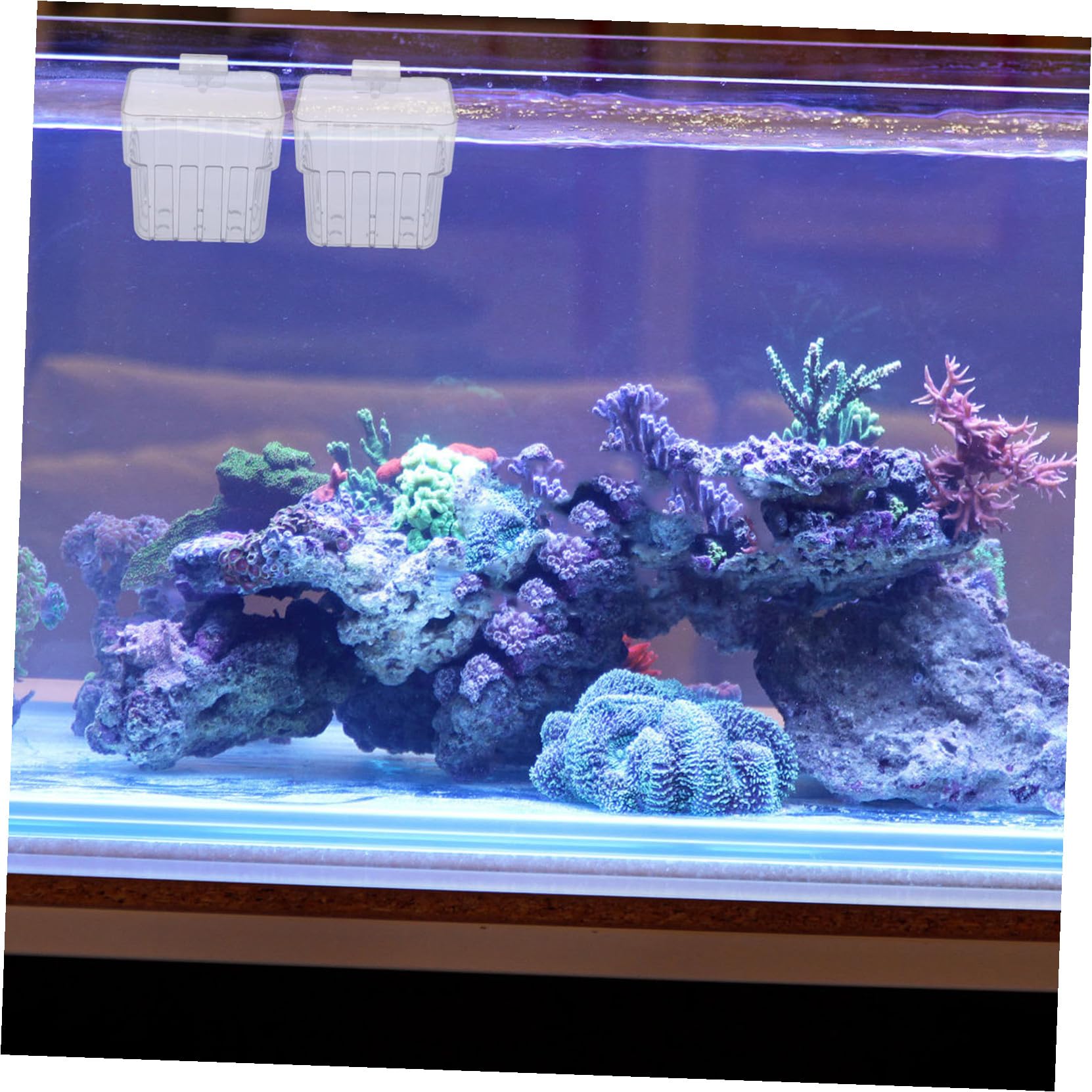 10 Stück Aquarium Pflanzkörbe Pflanzgefäße Für Aquarien Zum Aufhängen Wasserpflanzentöpfe Hydrokultur Pflanztopfhalter Hydrokultur Pflanzenregal Hängende