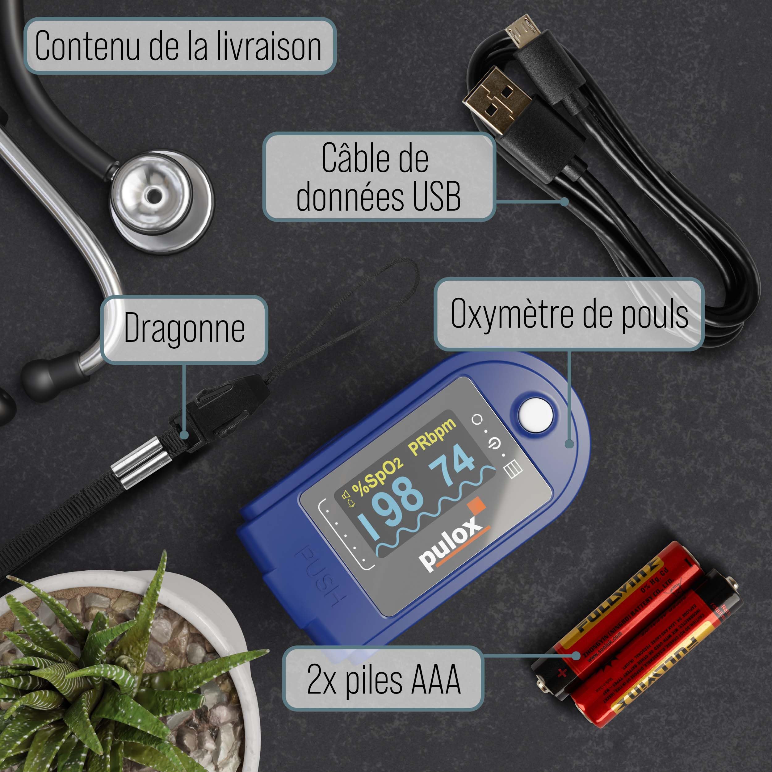 Doigt oxymètre de pouls PO-250 avec Software & Data Cable et la couleur de forme d'onde SpO2
