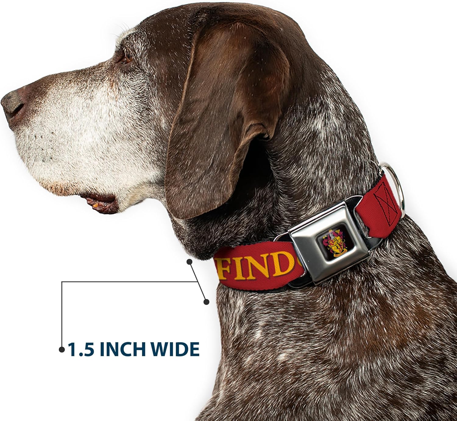 Dog Collar Seatbelt Buckle Harry Potter Gryffindor Crest Black Red 20 to 31 Inches 1.5 Inch Wide