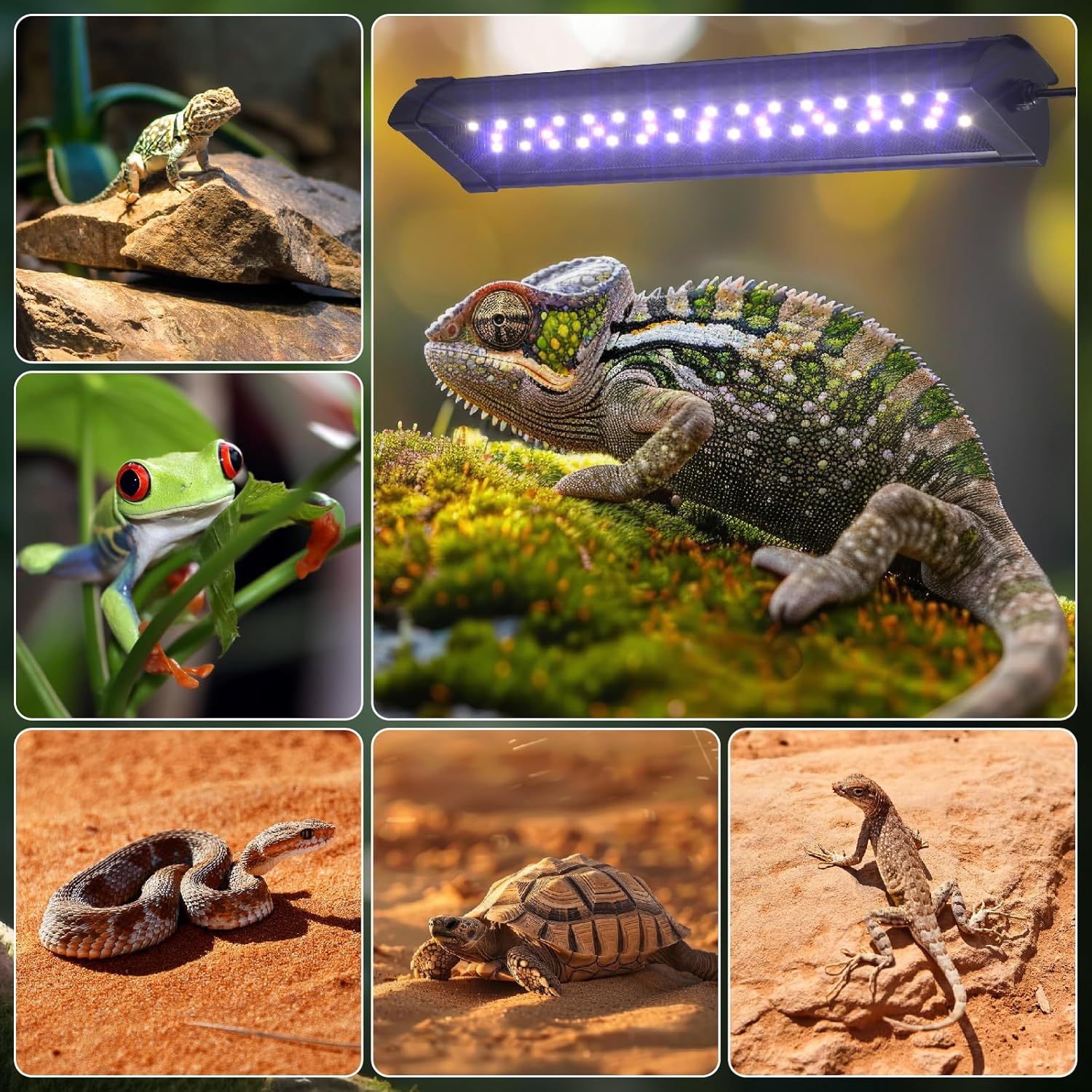 GlowUp 12 Inch 10W Dimming LED UVB Light for Reptiles, UVB 20.0/10.0/5.0/Purple Light, 3 Light Modes, Timer, UVA UVB Reptile Lamp for Tropical & Desert Reptile, Bearded Dragons, Turtles, Snakes