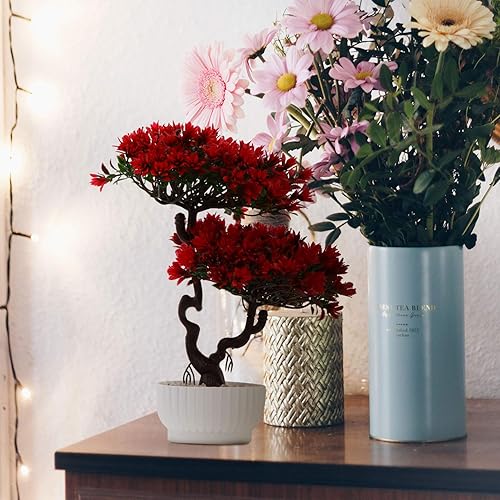 Miniatura 4 de Yardwe Plantas artificiales, árbol de pino bonsái, planta sintética en maceta, arreglos florales decorativos, decoración de Feng Shui, centros de