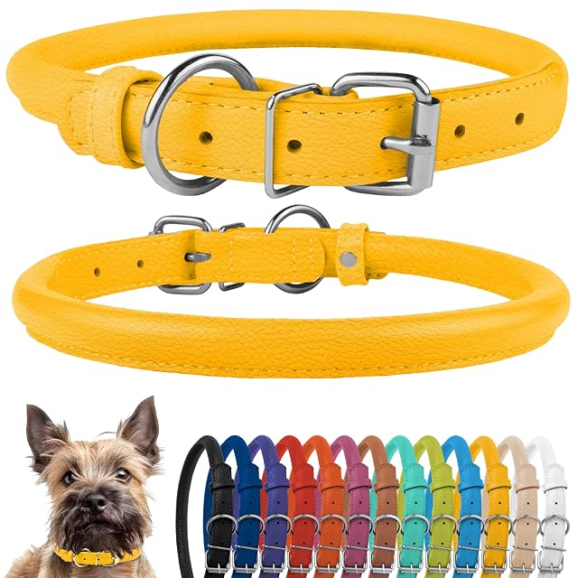 CollarDirect Collar de perro de cuero enrollado, collar de cachorro redondo acolchado suave