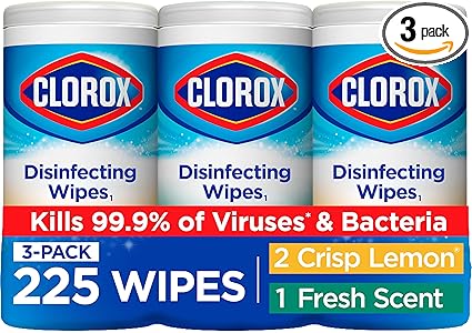 Amazon.com: Clorox Disinfecting Wipes Value Pack, Household Essentials, 75 Count, Pack of 3 (Package May Vary) : Health & Household