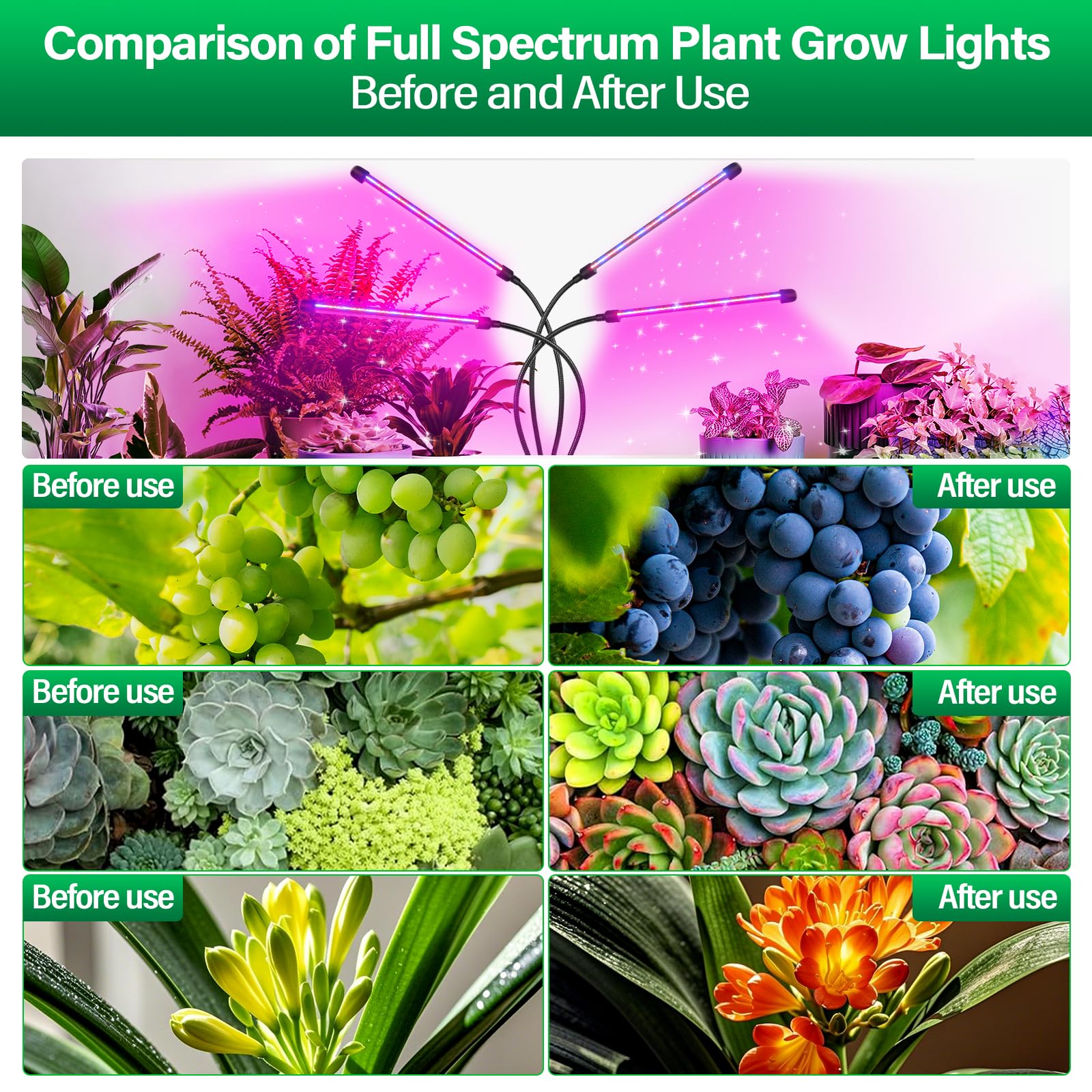 Willpower 4 Têtes Lampe Pour Plantes Avec Clip, 80 LED Horticole Lampe De Croissance, Automatique 3/9/12H, 460nm-470nm 620nm-630nm, 3 Modes D'éclairage Pour Semis Interieur, Serre Culture