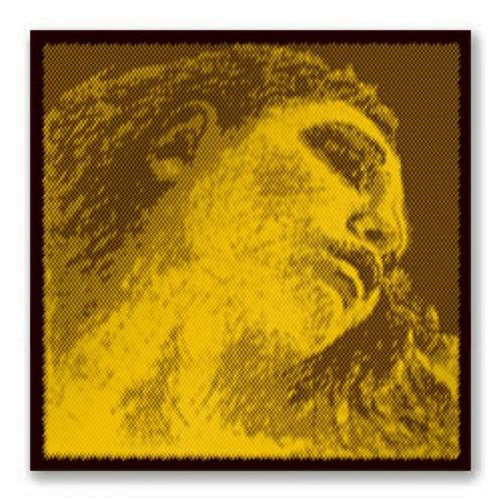 Evah Pirazzi Gold Violin G String – Silver/Synthetic, Medium Tension, Ball End