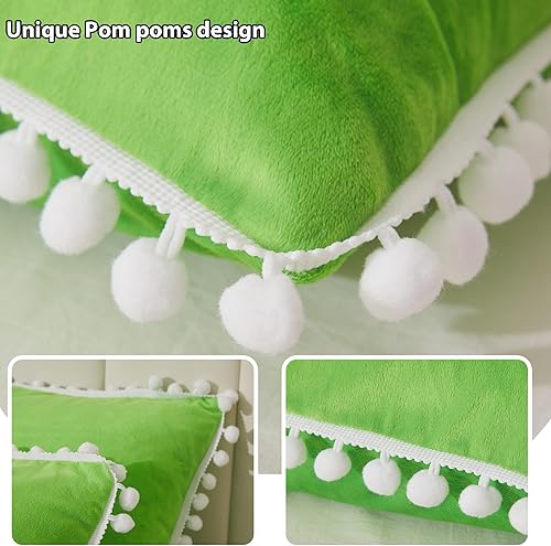 Miniatura 4 de LIFEREVO Juego de 2 fundas de almohada de terciopelo suave con pompones, fundas de almohada decorativas con flecos, bonitas fundas de almohada