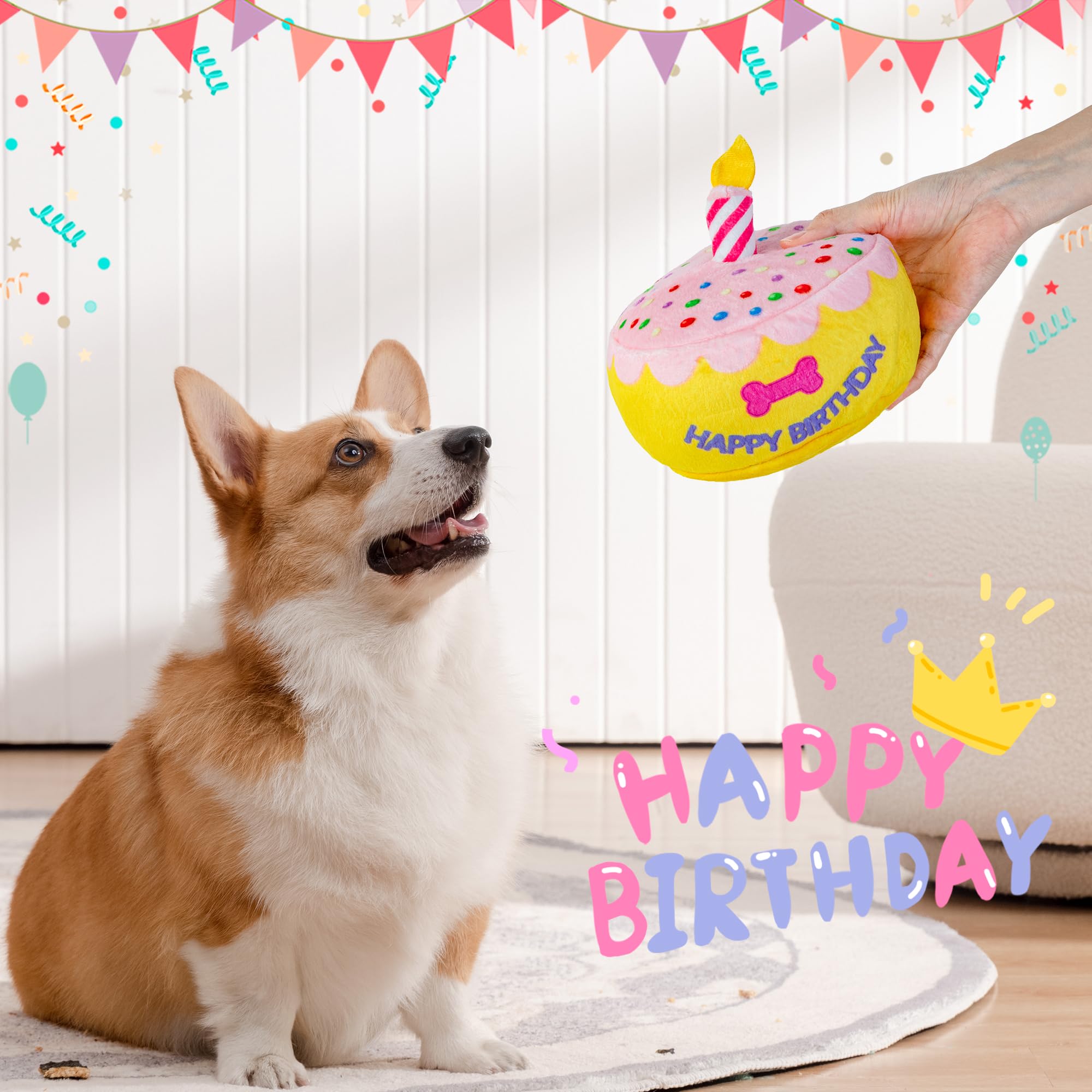 Jouet d'anniversaire pour chien