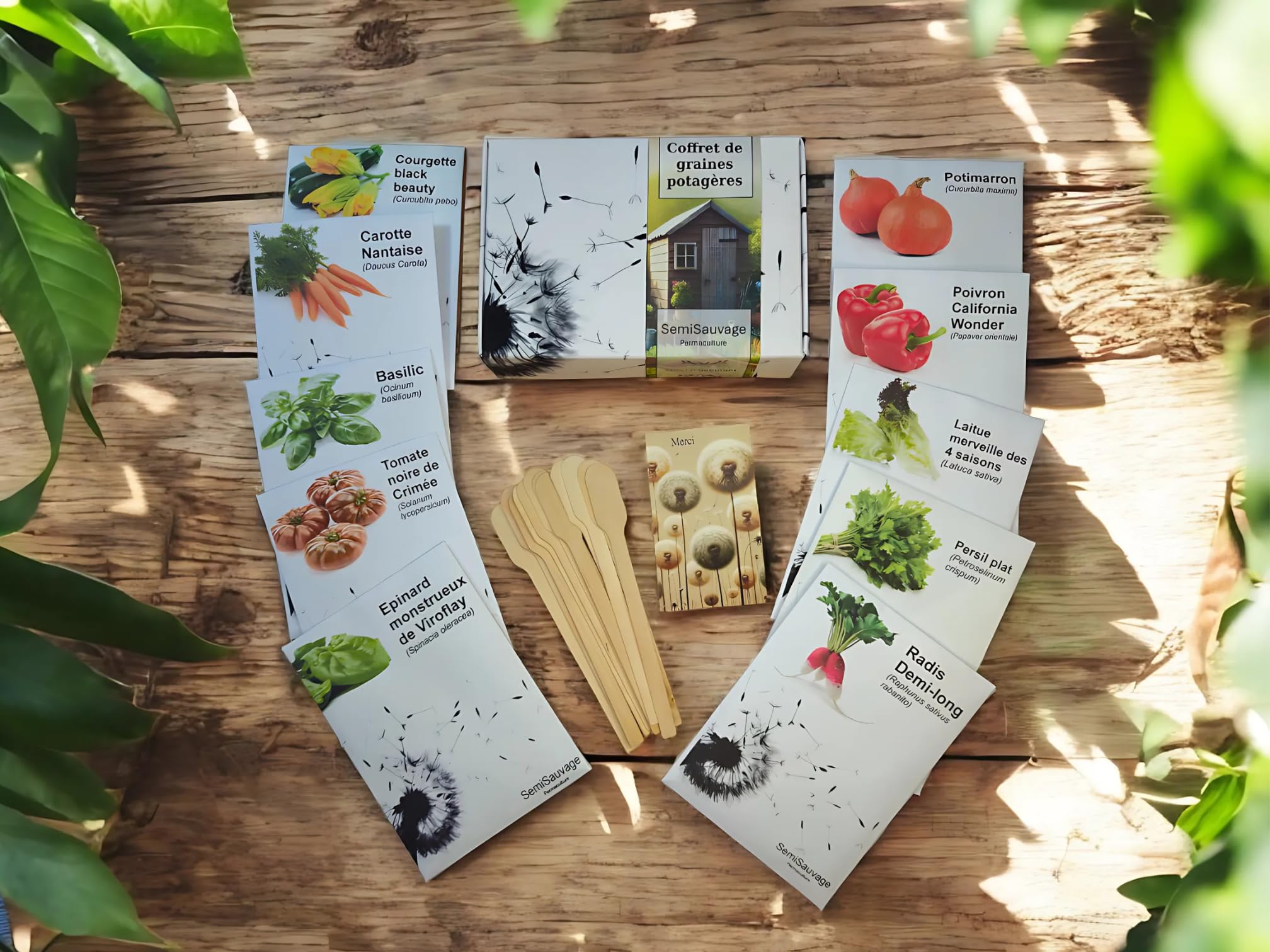 Coffret de Graines - Spécial Jardinier Débutant - SemiSauvage Permaculture