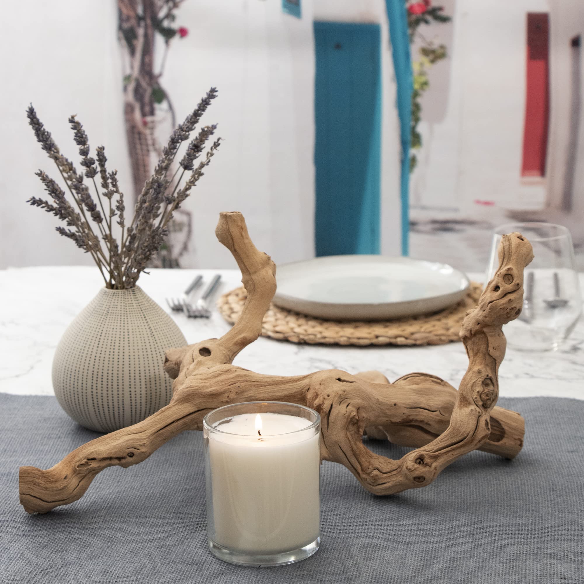 Amazon.com: De La Terre 噴砂天然加州葡萄木| 裝飾葡萄木裝飾(15 英吋