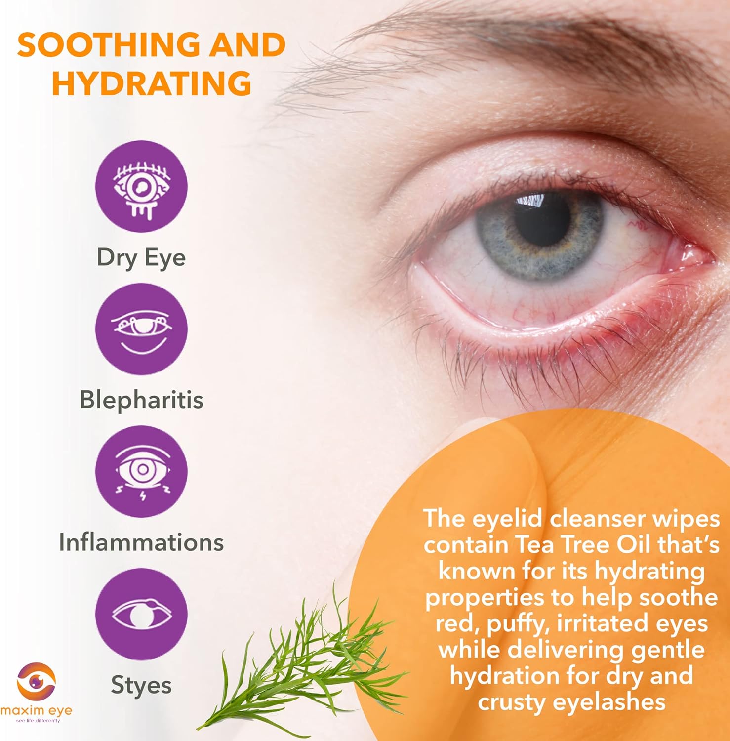 Maxim Eye Tea Tree Eyelid Wipes 36 Pieces, Exfoliating Eyelid Scrubs