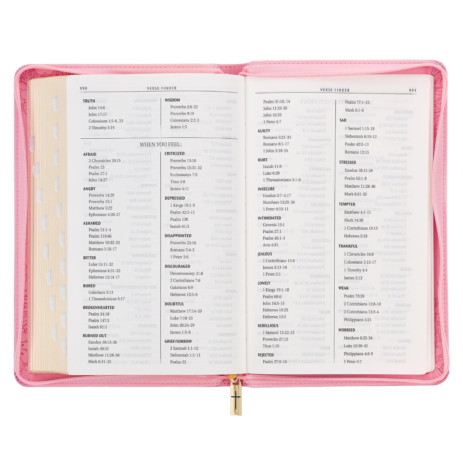 KJV Holy Bible, Standard Size Faux Leather Red Letter Edition Thumb Index, Ribbon Marker, King James Version, Pink Floral Zipper Closure (KJV Deluxe Gift Editions)