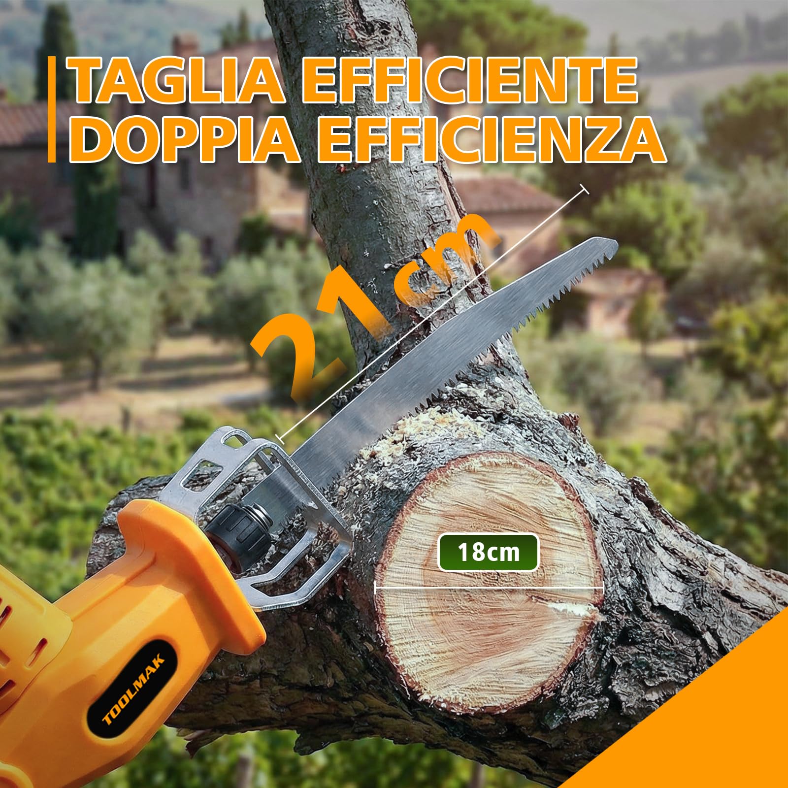 TOOLMAK Motosega a Batteria 20V 4,0Ah con Asta Telescopica 3m da Giardino | Sega Elettrica per Alberi e Rami, Lama 210 mm, seghetto per potatura(1 Batteria)