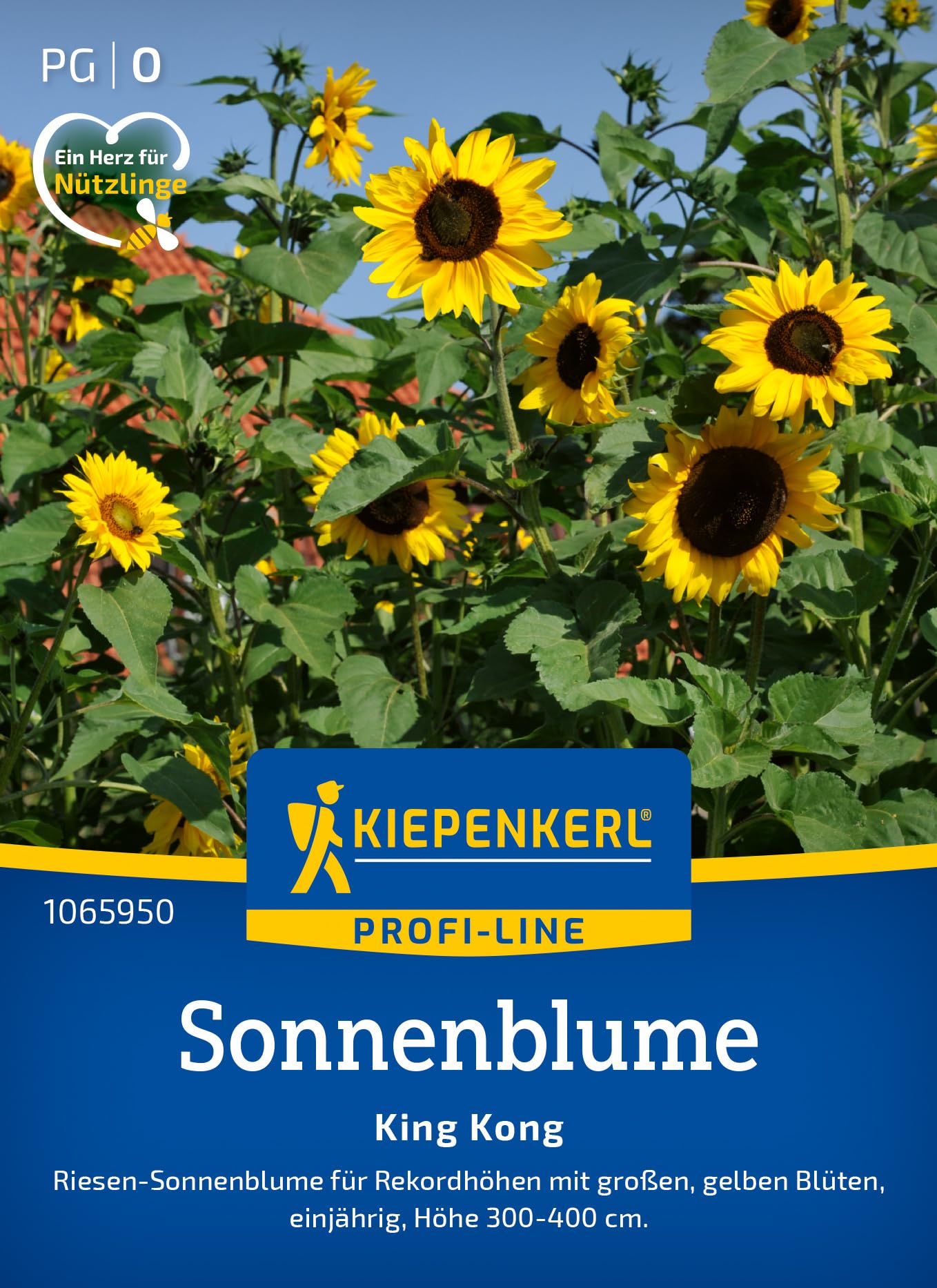 Kiepenkerl Profi-Line Sonnenblumensamen King Kong 1065950 – Riesen-Sonnenblumen für Rekordhöhen