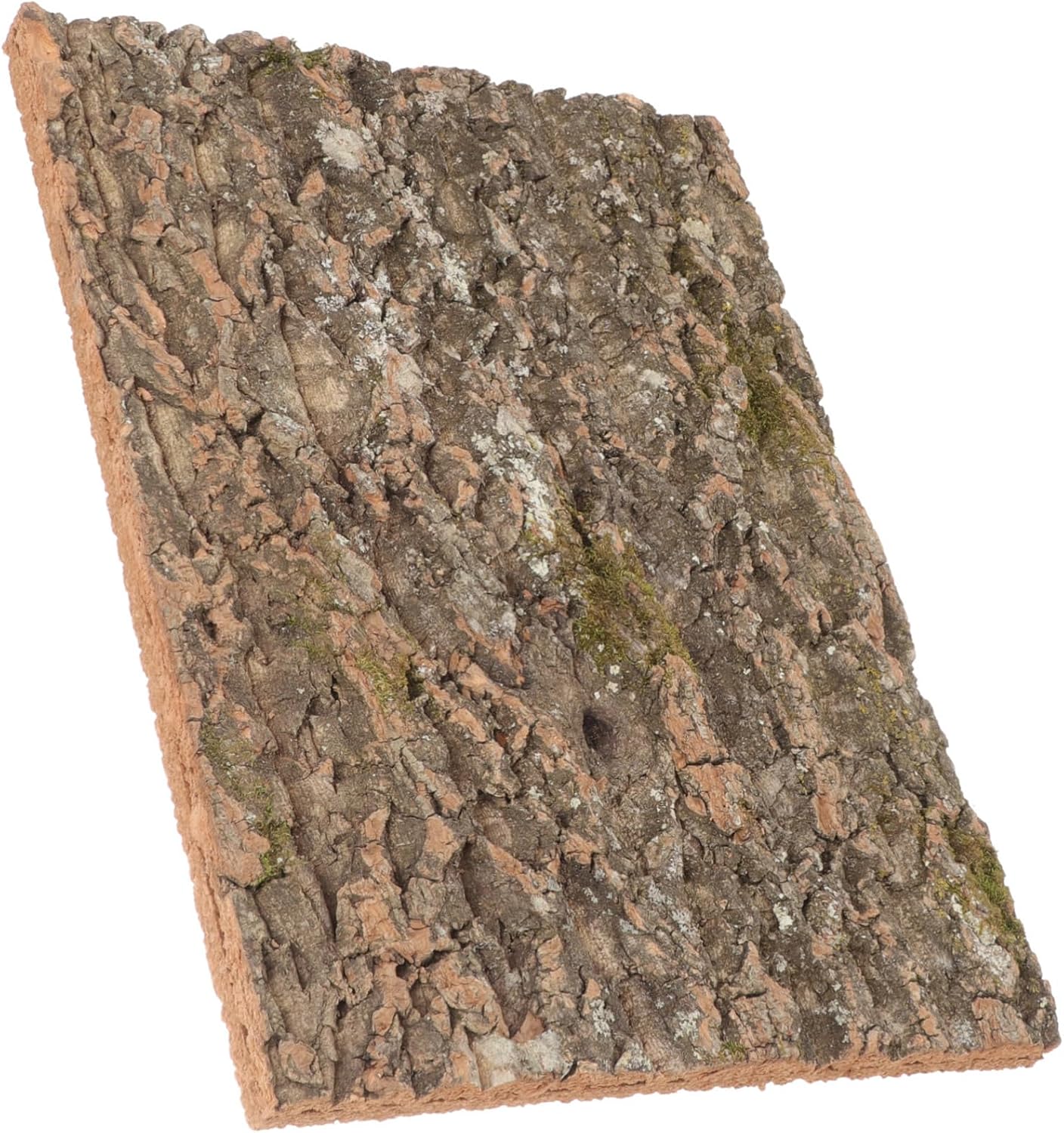VICASKY Natural Cork Bark Reptile Climbing Platform Terrarium Decor for Lizards Bearded Dragons and Geckos Secure Habitat Background Moisture Reptile Tank Accessory