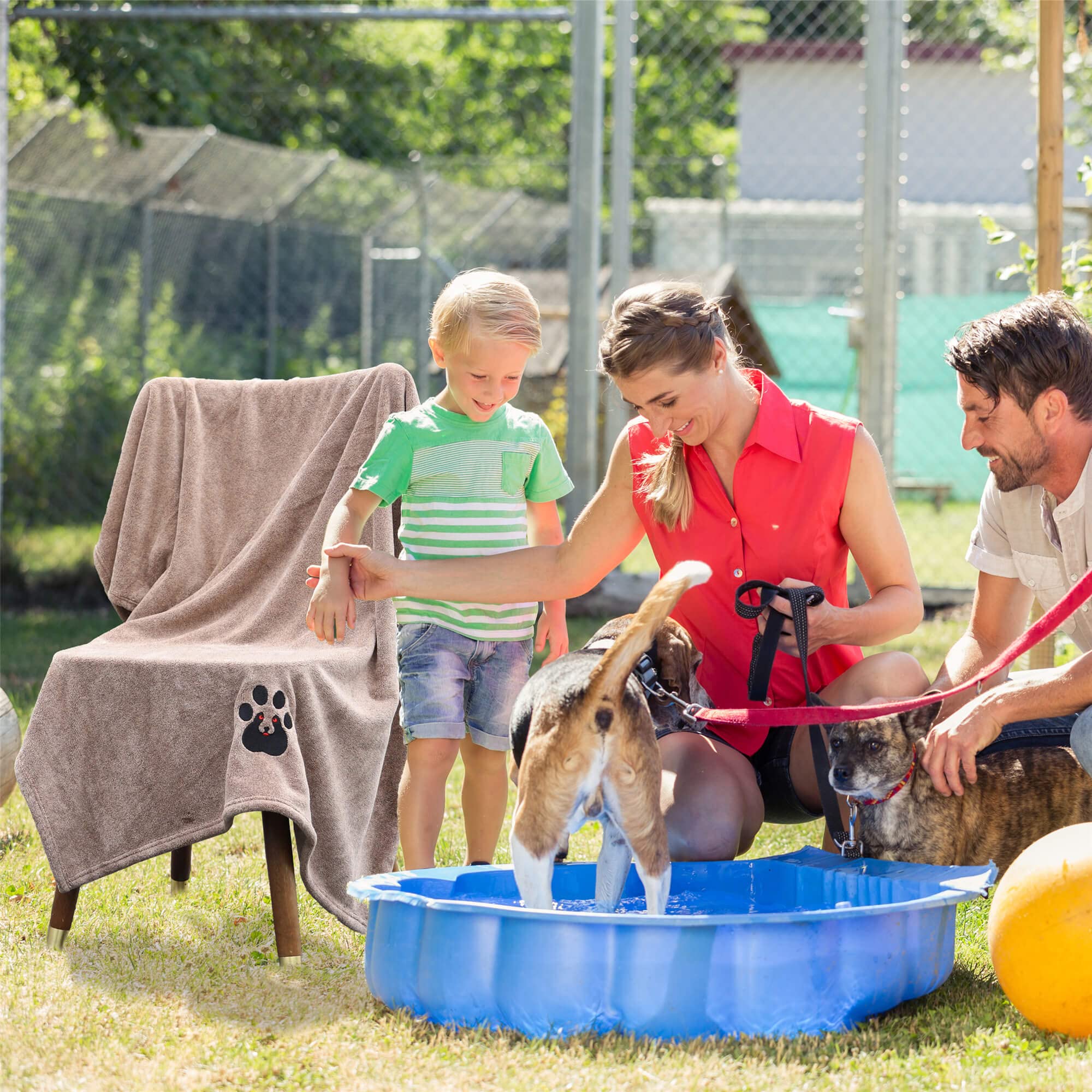 Dogvingpk Bardzo duże ręczniki dla psów do suszenia psów, super chłonny, miękki ręcznik do pielęgnacji zwierząt domowych, dla psów, kotów i innych zwierząt domowych (XL, 140 x 91 cm, zielony, brązowy
