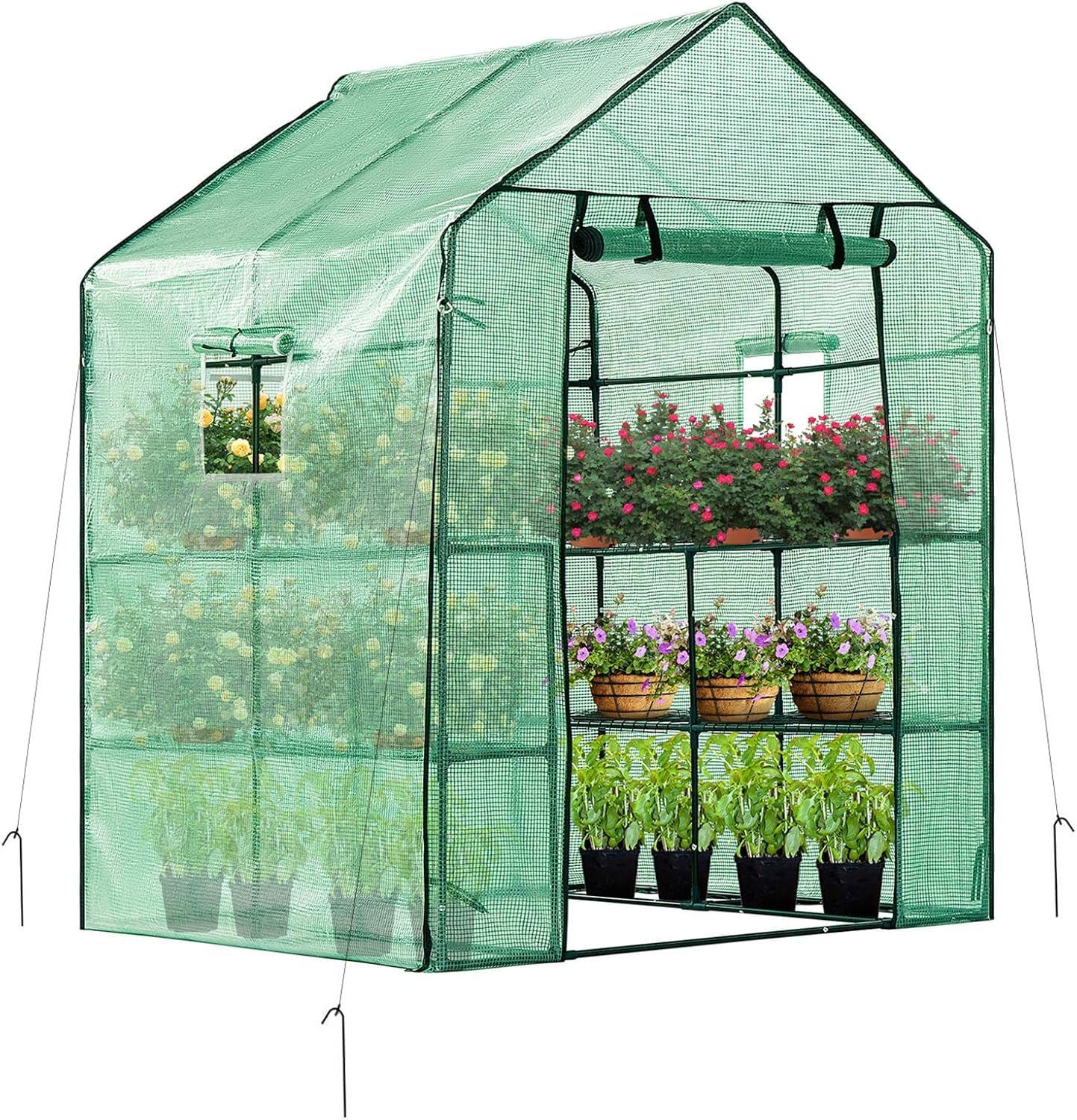 Amazon.com : VIVOSUN 57x57x77 Inch Mini Walk in Green House