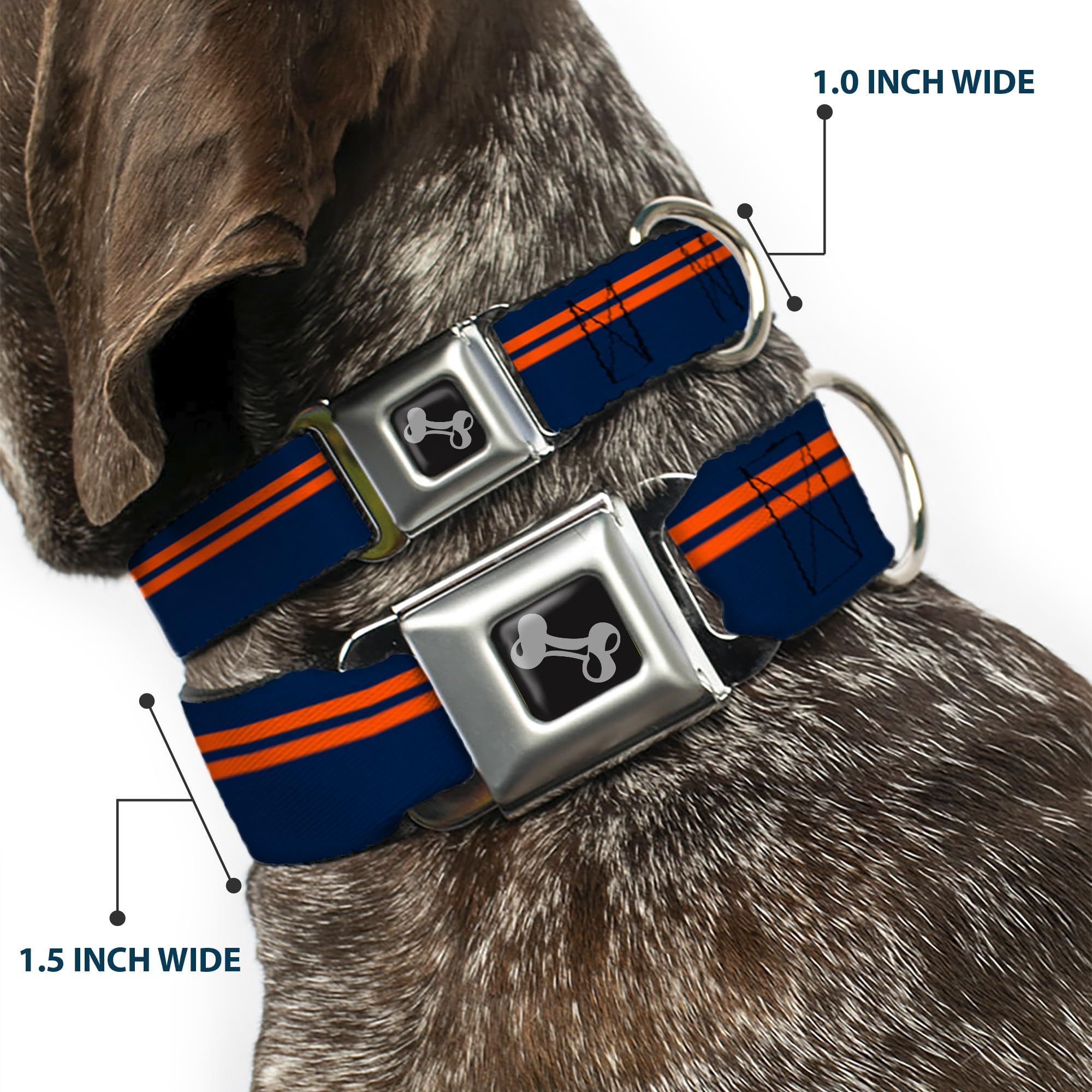 Buckle-Down Obroża dla psa w paski wyścigowe 40-58 cm, granatowa/pomarańczowa kość, szeroka średnia