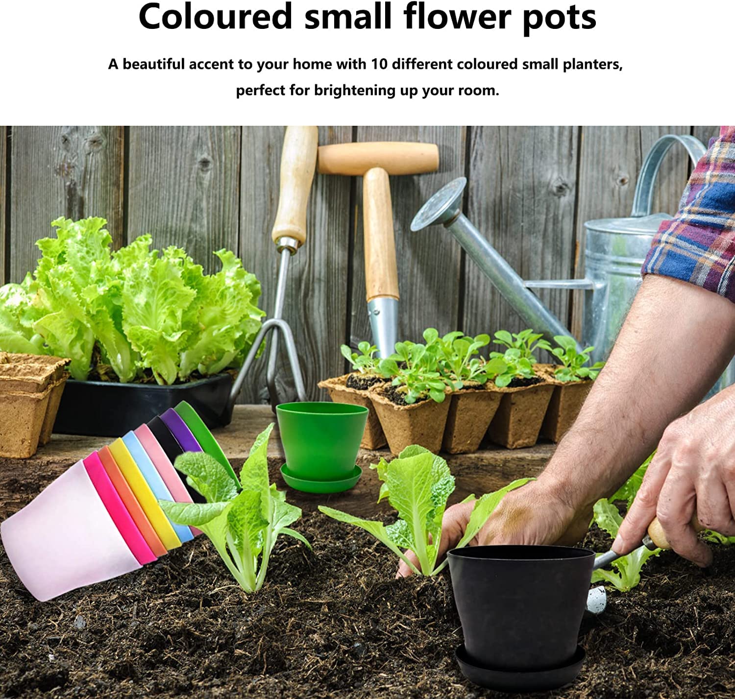 10 Vasi Per Piante In Plastica Colorata Con Sottovaso - Diametro 10 Cm - Per Cactus, Grasse E Fiori - Decorazione Casa - 6