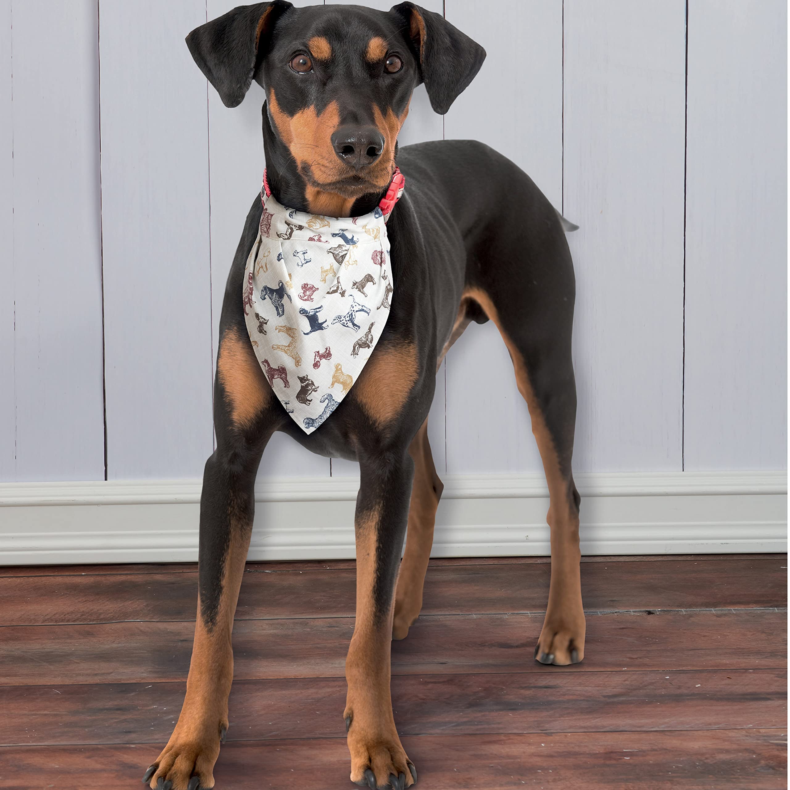 Simplicity Patron de couture S9446 Housses de cage pour animaux de compagnie en trois tailles et accessoires, blanc, OSFA, SS9446OS