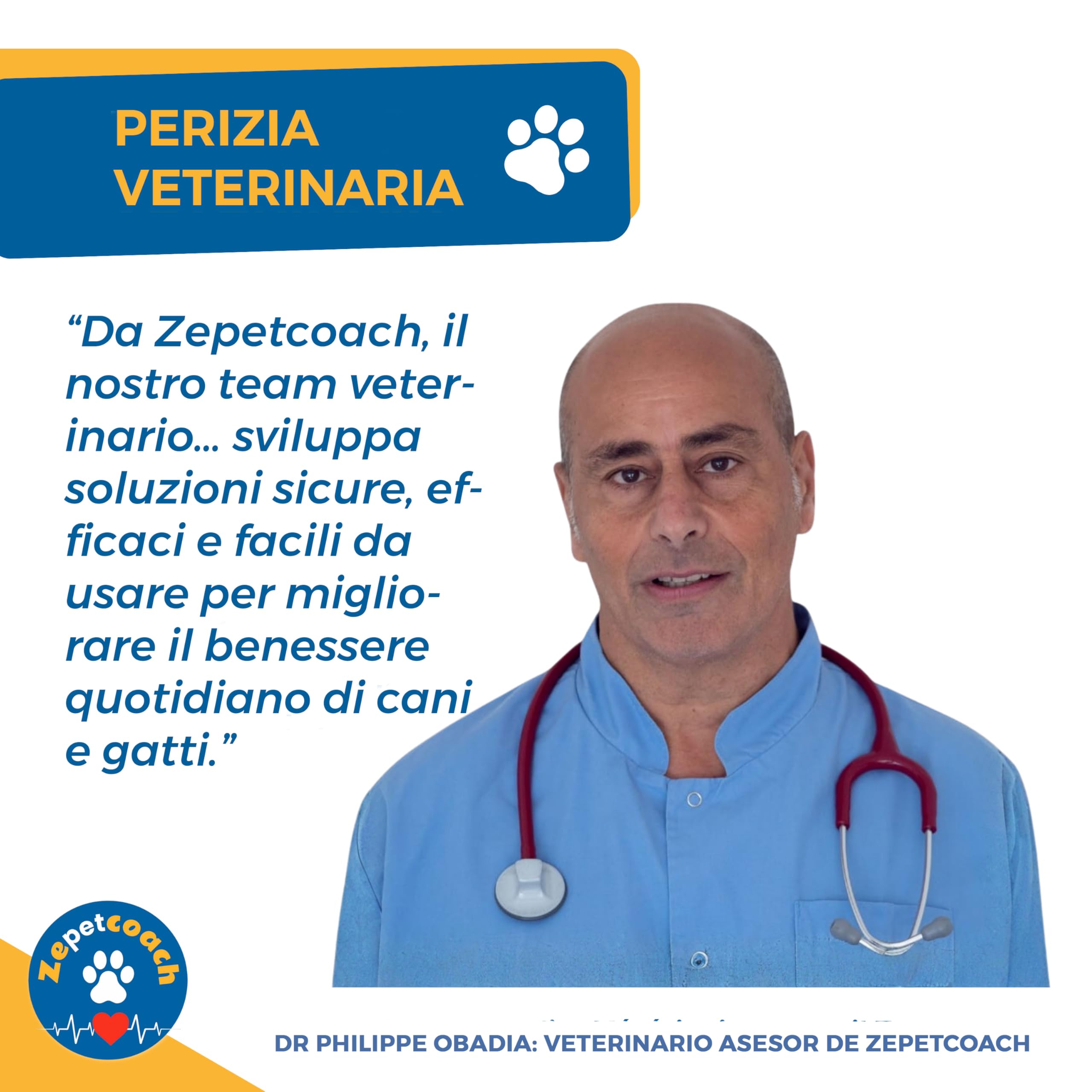 Anti-Boli di Pelo Gatto – ZPC – Integratore Naturale per Digestione & Transito – Taurina, psyllium & cicoria – 250 g