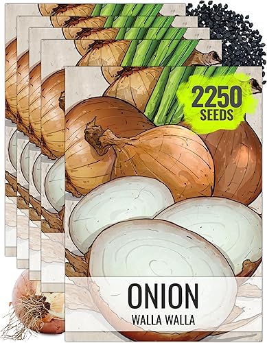 Seed Needs Semillas de cebolla para plantar cebollas Walla Walla, semillas de verduras sin tratar y sin OMG para plantar un jardín de verduras