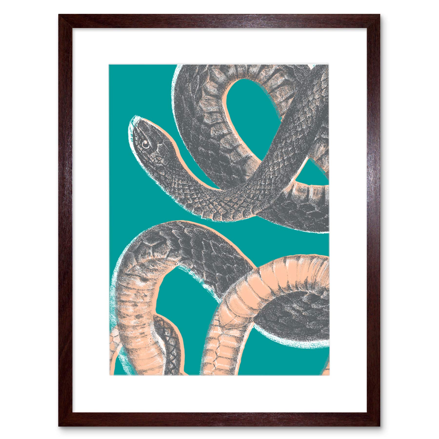 Wee Blue Coo Snake Illustration Modern Biodiversity Artwork Framed Wall Art Print 12X16 Inch