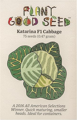 Katarina - Semillas de repollo F1, paquete de 75, semillas vegetales sin OMG, sin tratar para plantar, de Estados Unidos