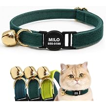 Personalized Cat Collar Breakaway with Name