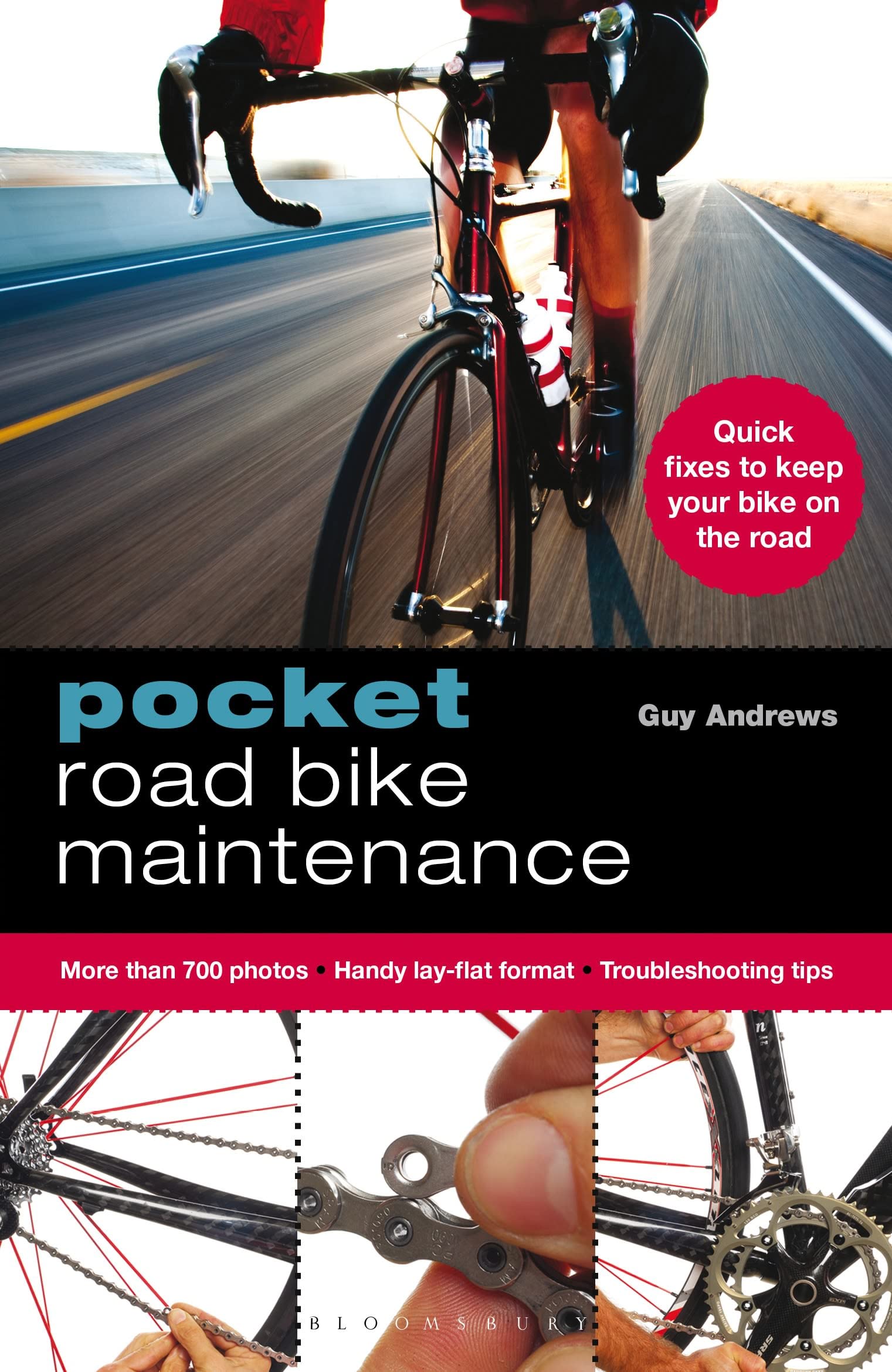 Buy Pocket Road Bike Maintenance — BookShops.in