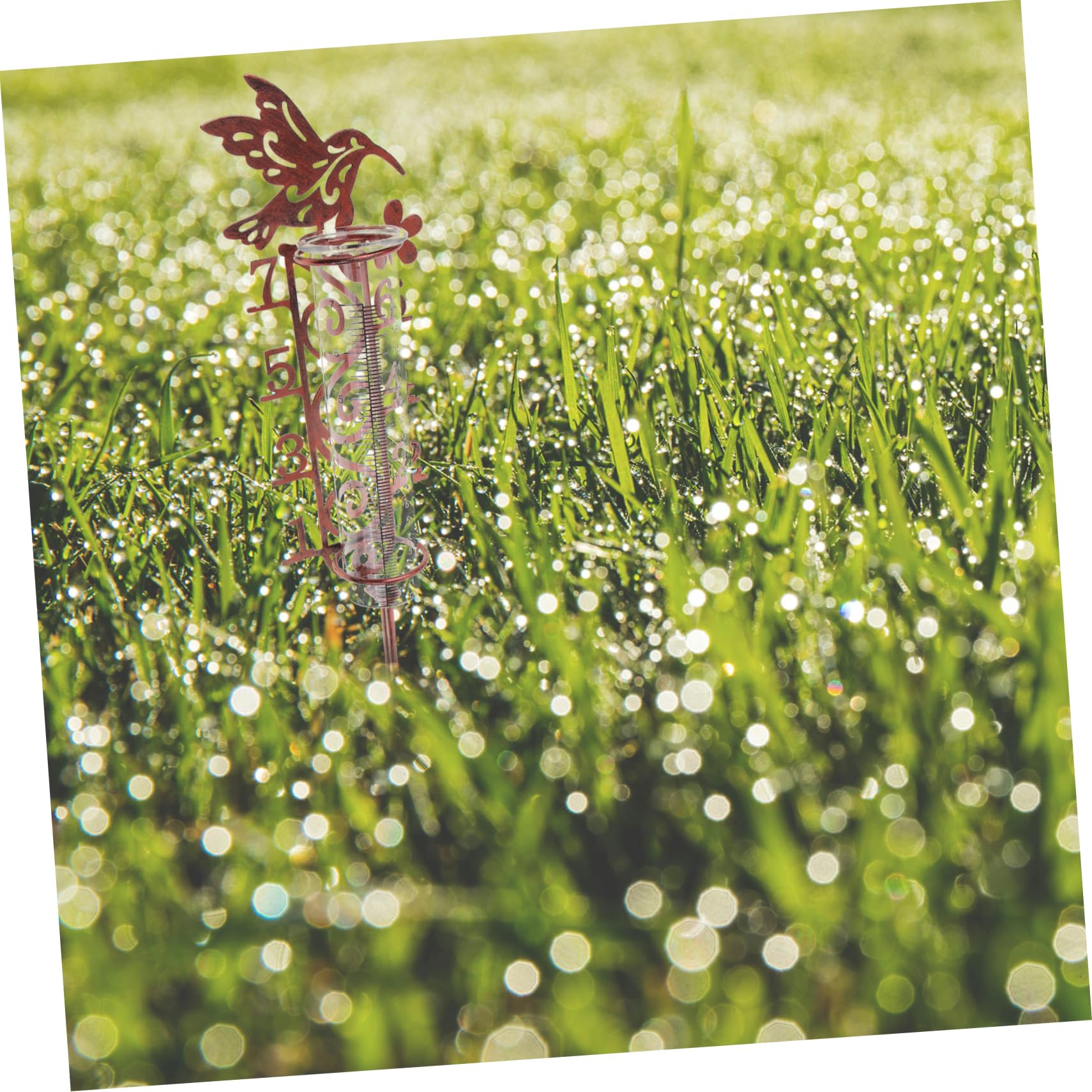 iplusmile 5stücke Outdoor Regenmesser Mit Metallpfahl Dekorativer Digitaler Regenmesser Für Garten Installieren Präzise Messung Für Garten Und Terrasse Kapazität