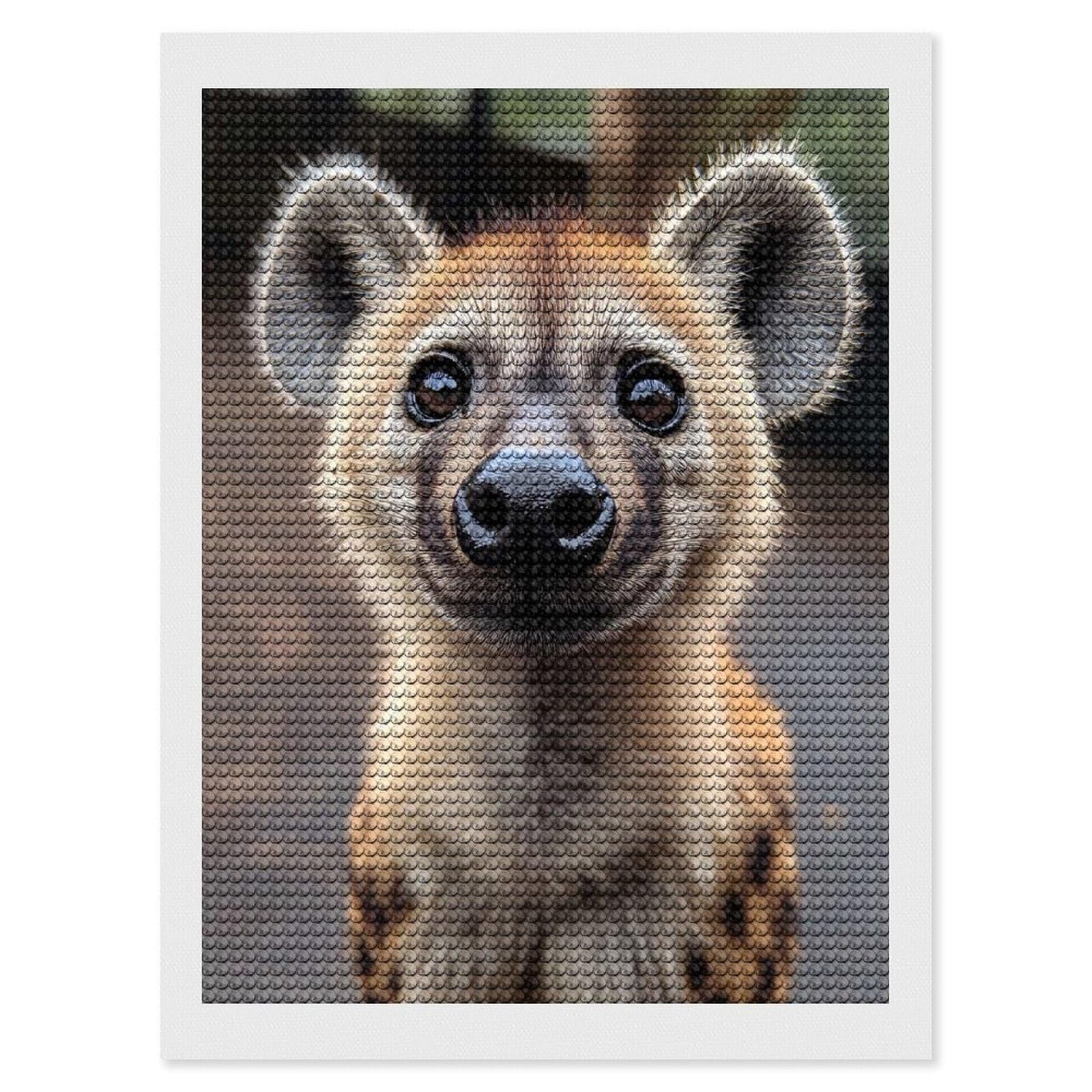 Junmoney Close-up of A Smiling Hyena Diamond Painting Set 12"x16", Full Kit Included, Sparkling Round Gems, Farmhouse Decor, Festive Craft Gift