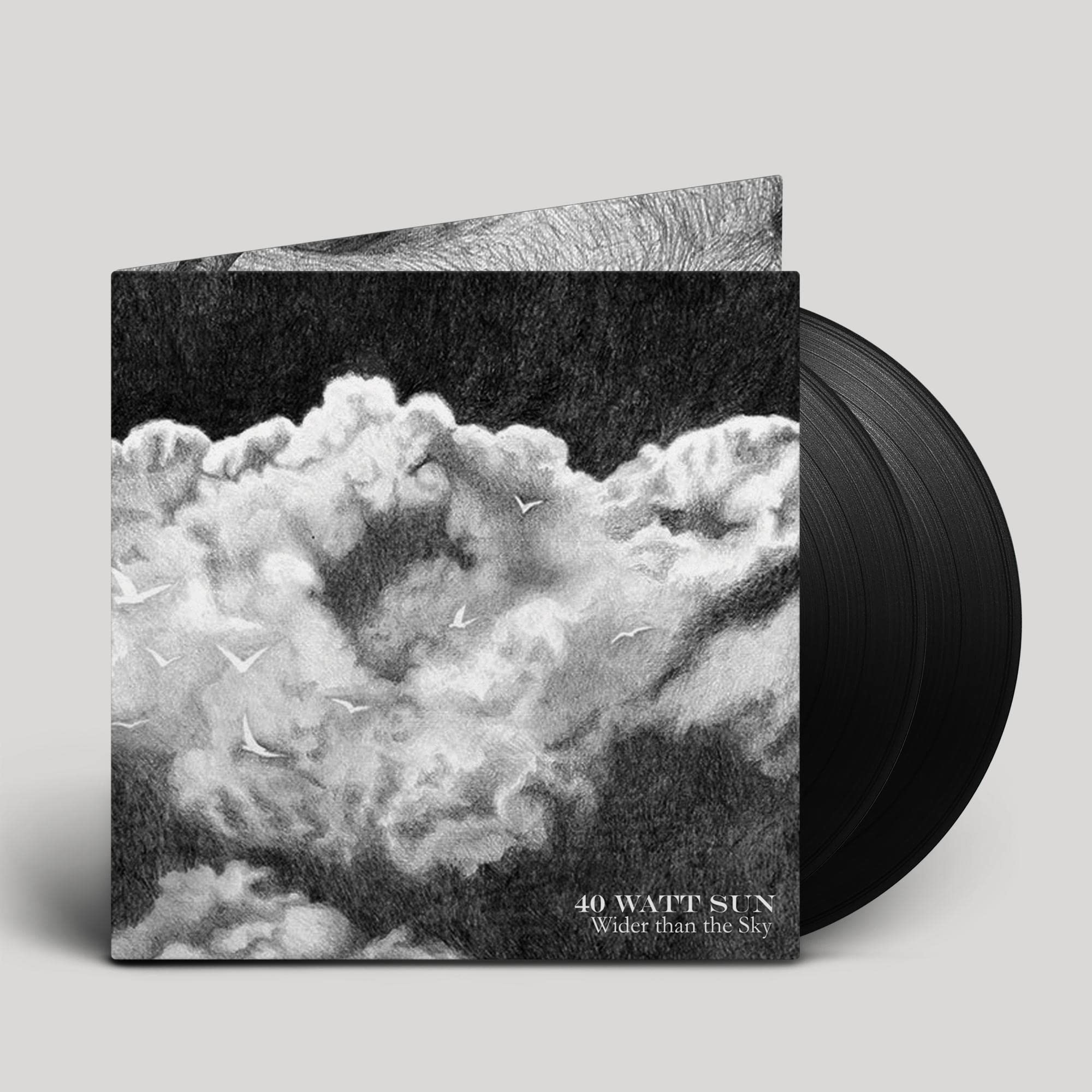 Wider Than The Sky [VINYL]
