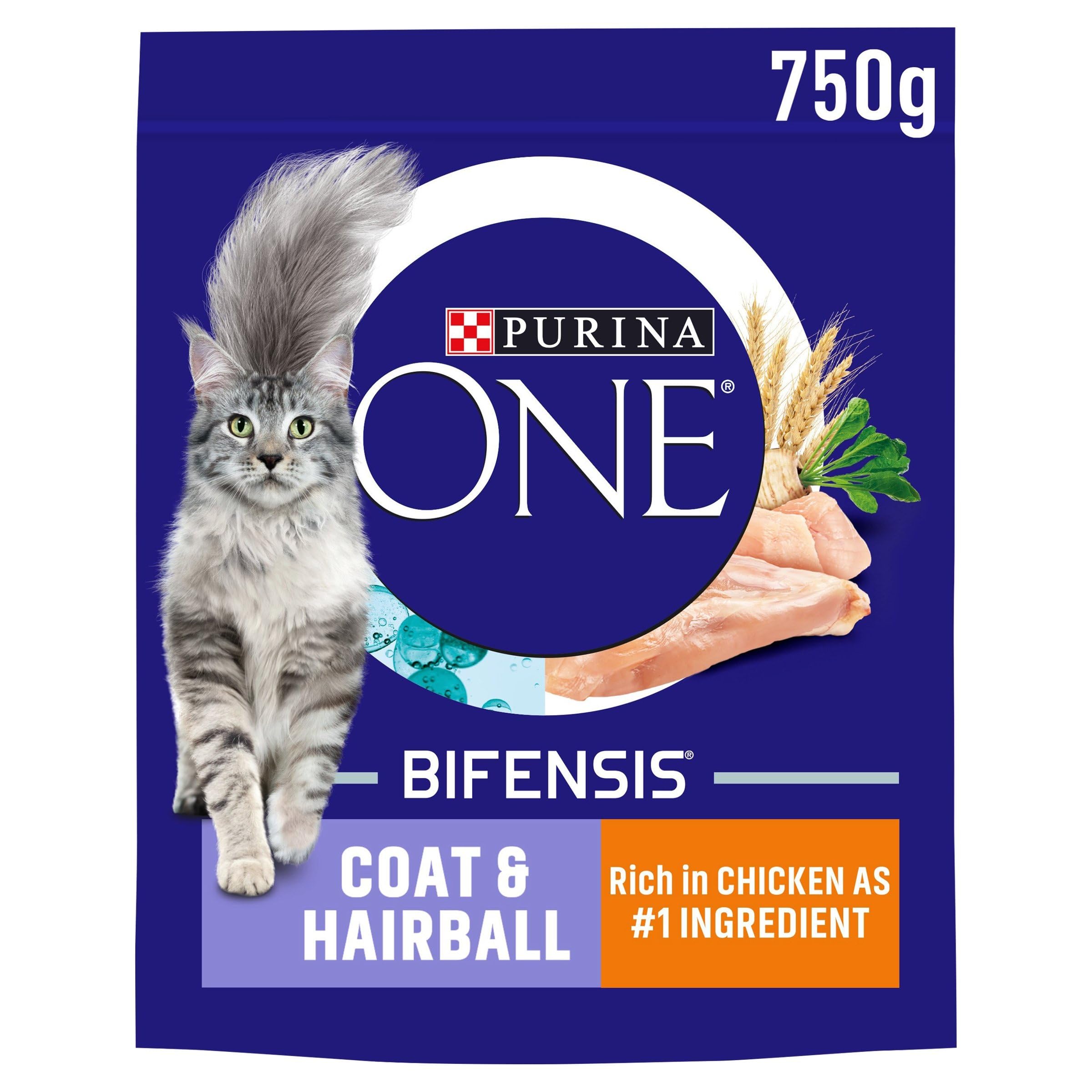 Purina One Coat and Hairball Adult Dry Cat Food with Chicken 750g