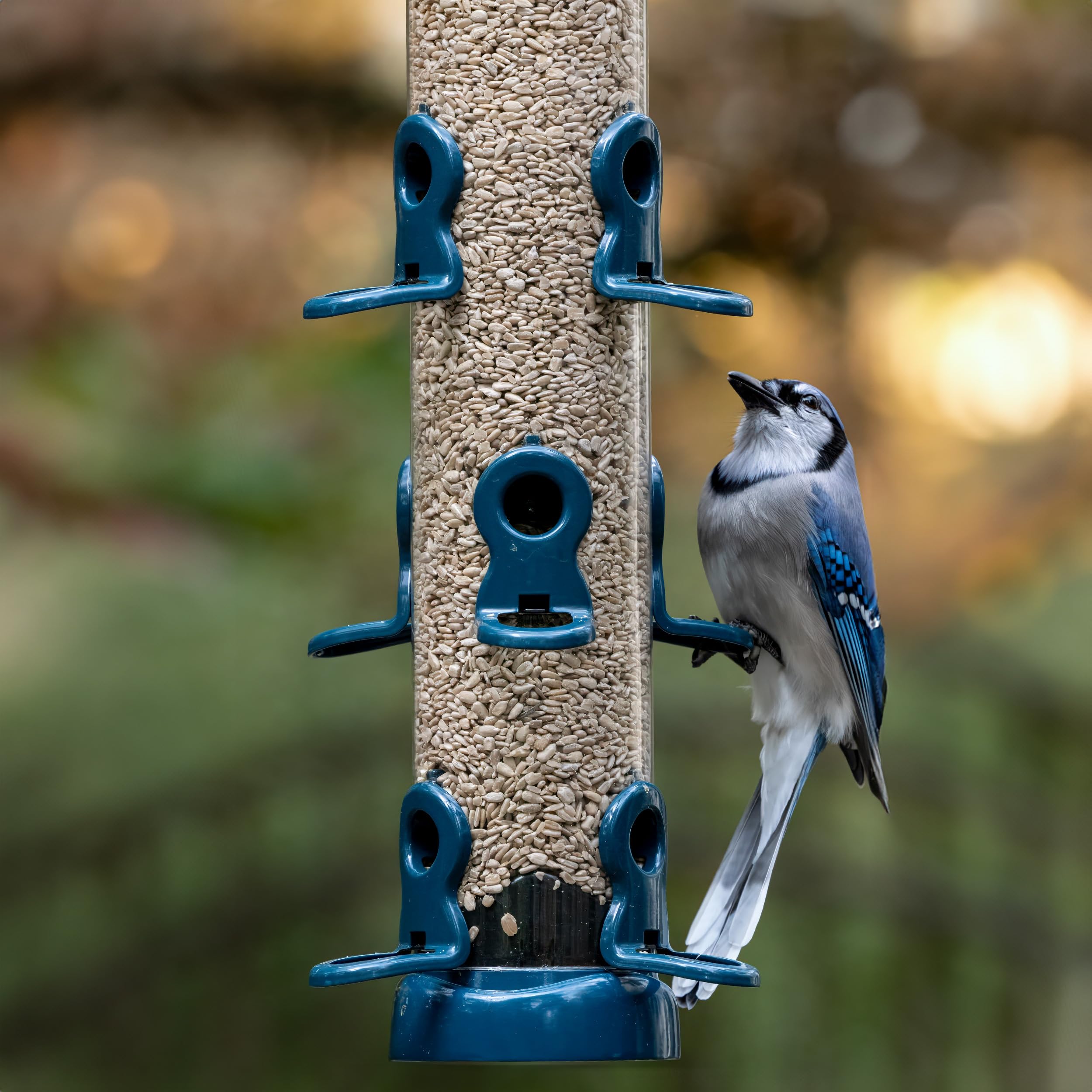 Jacobi Jayne® flo™ Vogelfutterstation für den Garten, zum Aufhängen, leicht zu reinigende Vogelfutterstation für Sonnenblumenkerne, Metall, blau, große Sonnenblumen-Herz-Futterstation