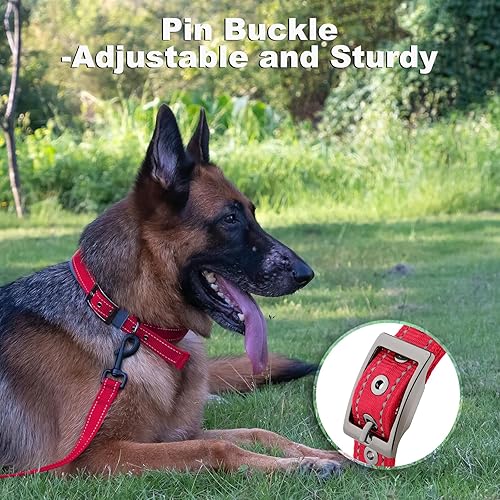 Miniatura 3 de Collar de perro personalizado, nombre bordado y número de teléfono, collar de nailon reflectante personalizado para mascotas, ajustable con