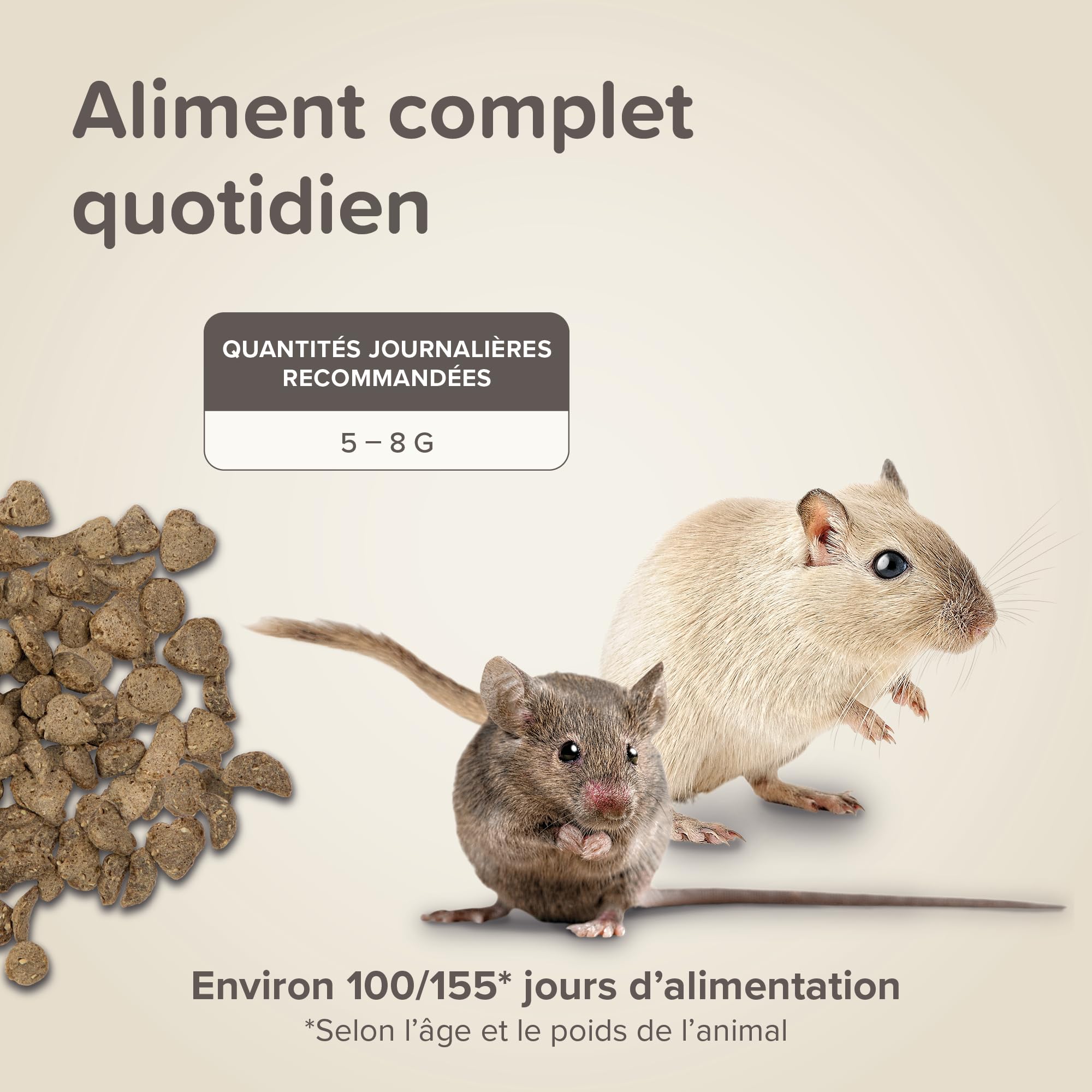 BEAPHAR – Care+® – Alimentation Super Prenium extrudée pour Gerbille et Souris – Aux proteines animales – Haute digestibilité – Participe à l’Usure Naturelle de Dents – Granulés Tout-en-Un – 500g
