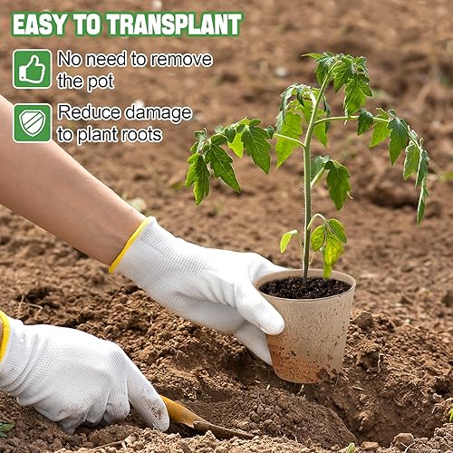 Miniatura 6 de Juego de macetas Cosweet, de turba, inicio de plantas y semillas de hierbas