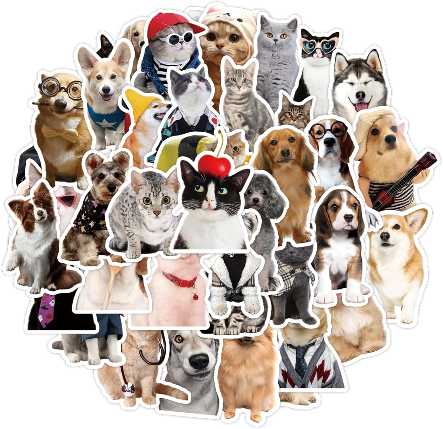 100PCS Pet Stickers for Water Bottle Laptop, Cute Cats and Dogs Vinyl Decals, Waterproof Sticker Pack for Teens Adults Use on Phone Case Scrapbook