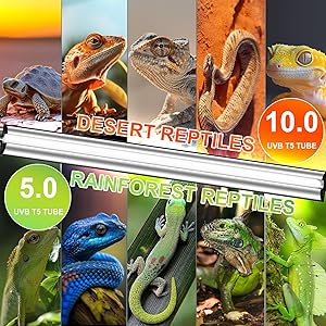 REPTIDLDB 39W T5 10.0 UVB Reptile Light Fixture 34 Linear UVA/UVB Lamp with High Output for Bearded Dragons, Tortoises & Lizards, Perfect for Desert & Tropical Terrariums