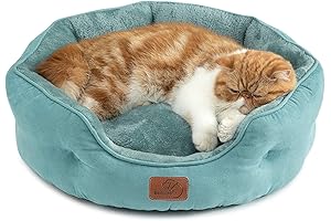 Practical and Pleasant: Bedsure Blue Cat Bed for Comfort and Warmth